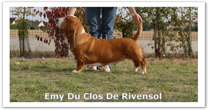 Emy Du clos de rivensol